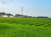 Moratorium Lahan Baku Sawah Disorot, DPRD Cium Potensi Benturan Aturan dan Ancaman Investasi