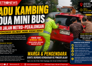 Adu Kambing Dua Mini Bus di Jalan Metro–Pekalongan, Pengemudi Selamat Mobil Ringsek Bagian Depan