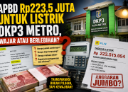 DKP3 Metro Akhirnya Buka Suara Soal Tagihan Listrik Rp223,5 Juta, Di Tengah Efisiensi APBD Masih Wajar atau Berlebihan?
