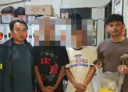 Operasi Libas Lodaya 2026: Dua Pelaku Begal Bersenjata Celurit Ditangkap di Anjatan